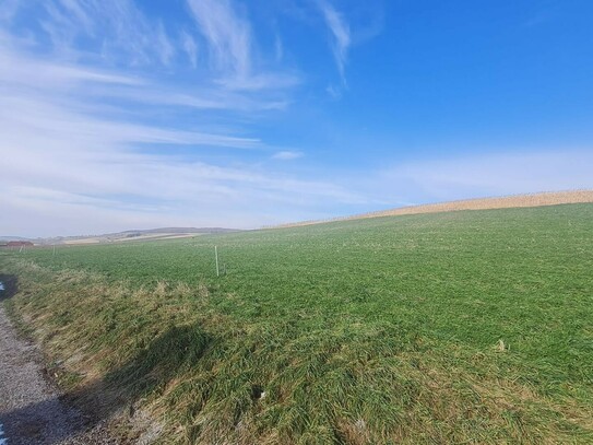 BAUGRUND IN SCHÖNER SÜDLAGE NÄHE NEULENGBACH