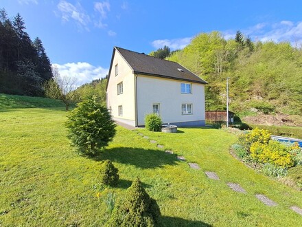 Haus mit Donaublick u. separatem Grundstück an der Donau