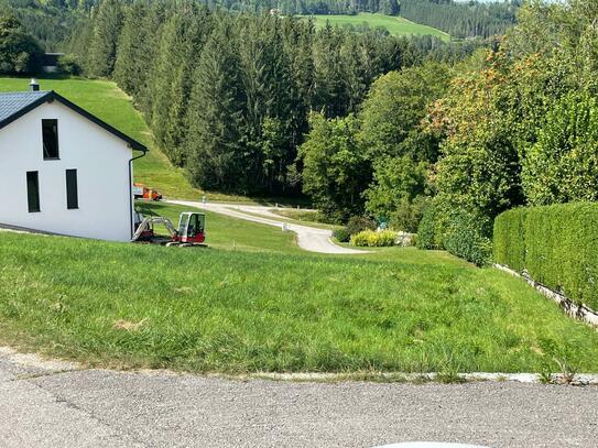 Hanglage im Grünen