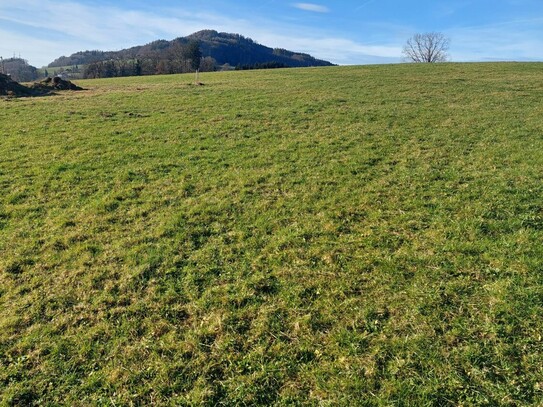 Sonniger Baugrund in Stadtnähe