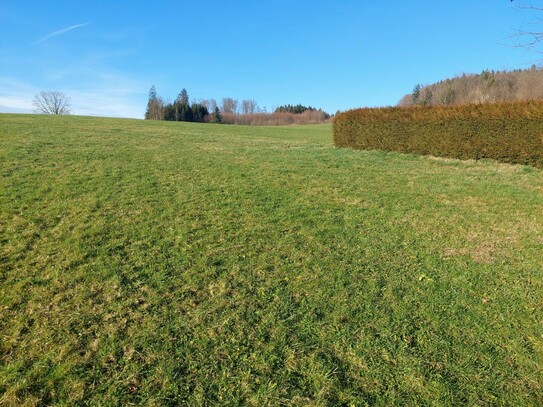 Sonniger Baugrund mit Bergblick!