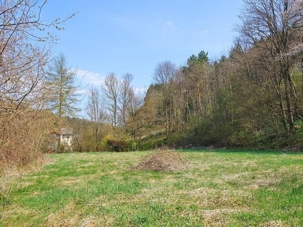 Neuparzellierung: Ebenes Baugrundstück unweit Pressbaumer Zentrum