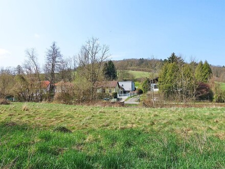 NEUPARZELLIERUNG! 2 ebene Bau-Grundstücke unweit Pressbaumer Zentrum