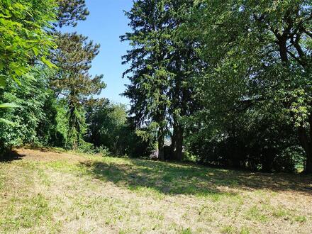 Herrliches Baugrundstück in zweiter Reihe zur Straße - Aufschließung bezahlt!