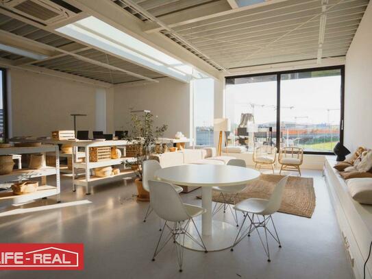 herrliches Loft als Büro oder Ausstellungsfläche mit großer Terrasse und klassische Büroräumlichkeiten