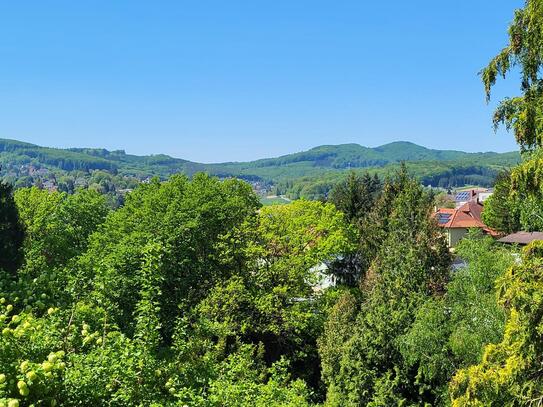 NEUER PREIS!!! AUFGESCHLOSSENER BAUGRUND IN RUHIGER WALDRANDLAGE