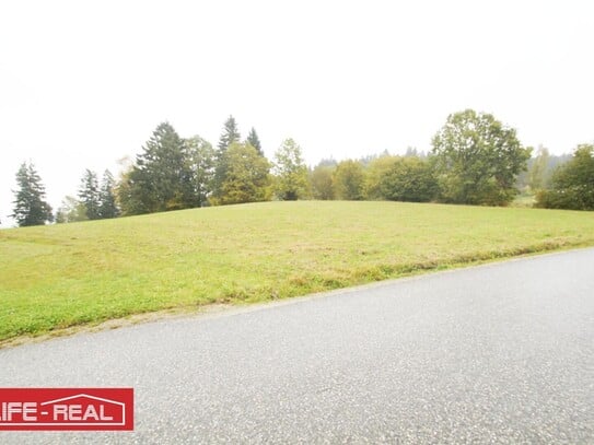 Schafzucht, Pferdezucht,schöne, große landwirtschaftliche Nutzfläche, in ruhiger Lage