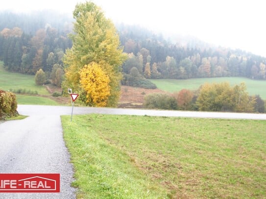 schöne, große landwirtschaftliche Nutzfläche, in ruhiger Lage