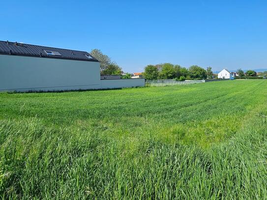 Wunderschöner sonniger Baugrund in Oslip