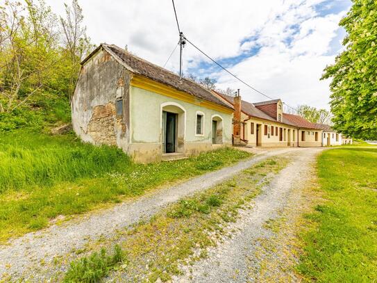 Presshaus mit Kellerröhre inmitten des Schmidatales im westlichen Weinviertel!