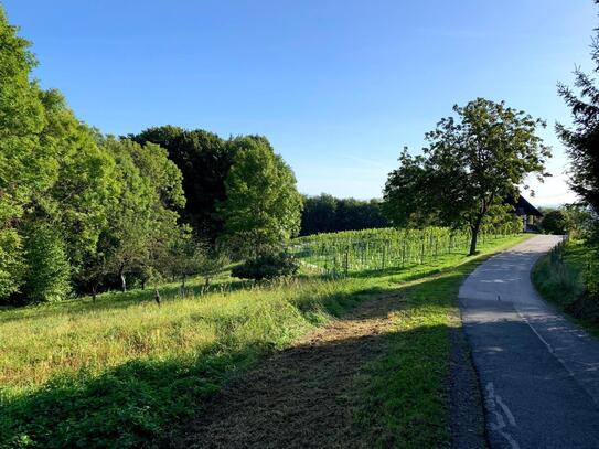 Südsteiermark: Rarität Steirische Toskana, Baugrund am Hochgrassnitzberg, gesamt 3.309 qm davon 924 qm Bauland