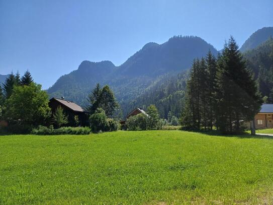 Gosau: Baugrundstück in Mitten traumhafter Natur!