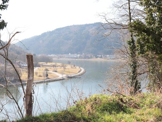 Donaublick in Grein - Baugrundstück mit Wiese