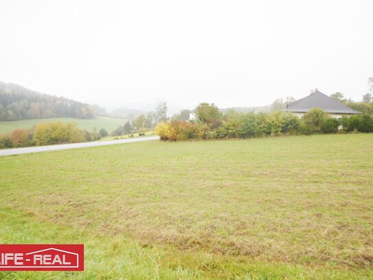 Schafzucht, Pferdezucht, schöne, große landwirtschaftliche Nutzfläche, in ruhiger Lage