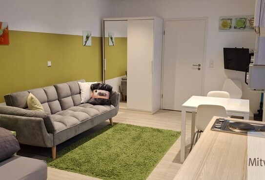 Beautifully furnished, spacious one-room apartment for up to two colleagues, right next to Fürth City Park – euhabitat