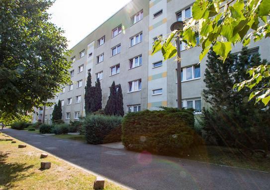 2-Raum-Wohnung mit Balkon und Aufzug