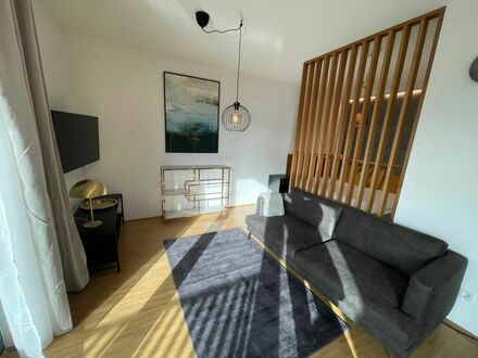 neues modernes 1,5 Zimmer Apartment mit viel Sonne