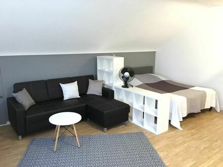 Hell Modern Gemütlich - Großes 1 Zimmer Apartment in Ilvesheim