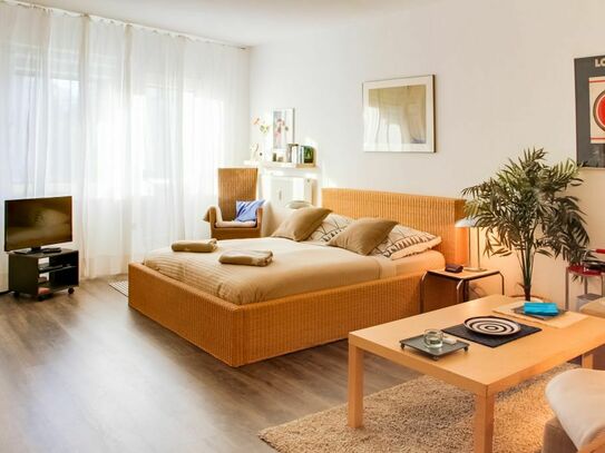 Gemütliches großes 1-Zimmer Apartment (45 qm) mit Balkon in ruhiger grüner Allee-Lage