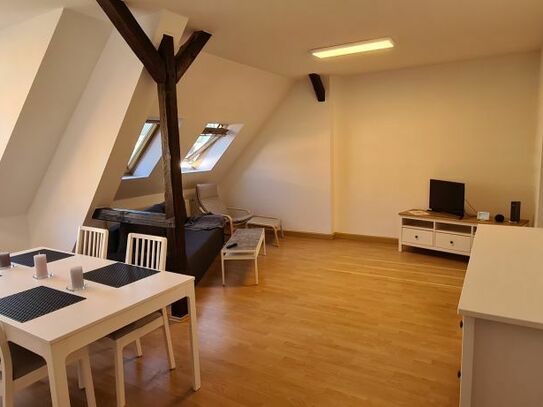 Großes Apartment, ruhig, 12 Min/Zentrum