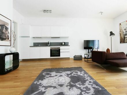 Modern luxury apartment in central Mitte