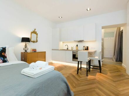 Individuell eingerichtetes und komplett neu moebliertes Apartment Wien mit modernem Badezimmer