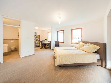 Luxuriöses Apartment in Heddesheim