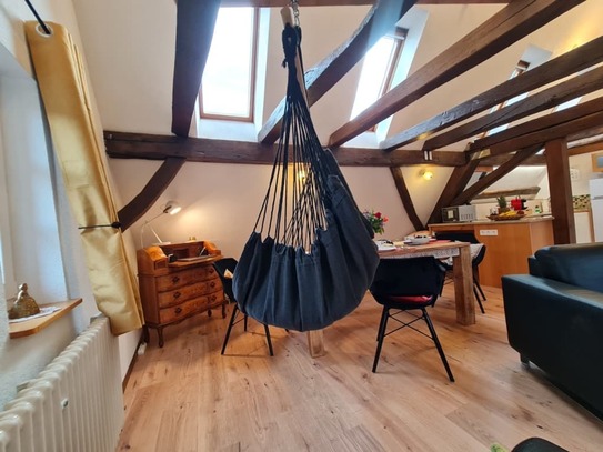 AVAHOME: Loft style apartment for 4 in Kandel / near Karlsruhe, WiFi, Netflix, kitchen, washer-dryer, parking space