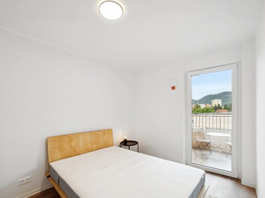 Privatwohnung in Lend, Graz