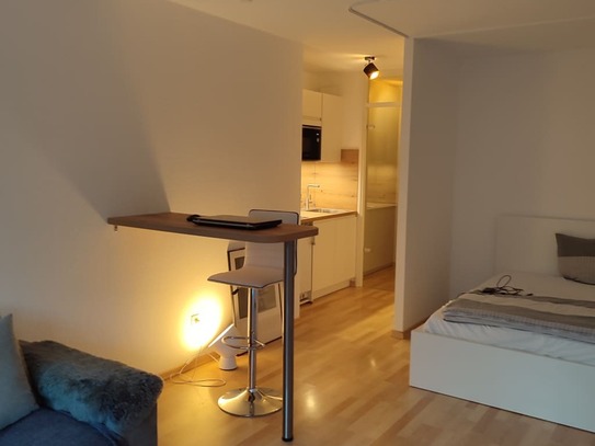 Elegant studio apartment in Dusseldorf Ludenberg