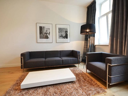 Luxury 1-bedroom business apartment in the middle of Frankfurt city near Goethe house - perfect for interim rent