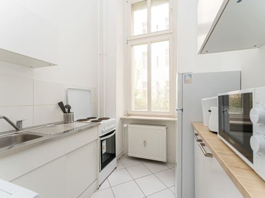 Spacious apartment located in Prenzlauer Berg