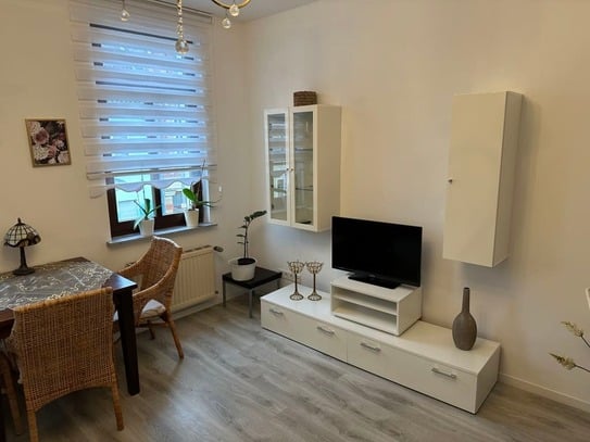 Fully furnished renovated two room apartment.