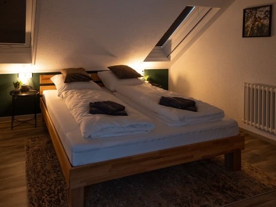 Nature Terminal Apartment - Beautiful, cozy apartment close to Stuttgart Airport/trade fair, BB, RT, TÜ, S, ES