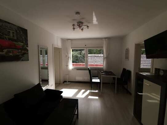 3-room penthouse apartment near airport