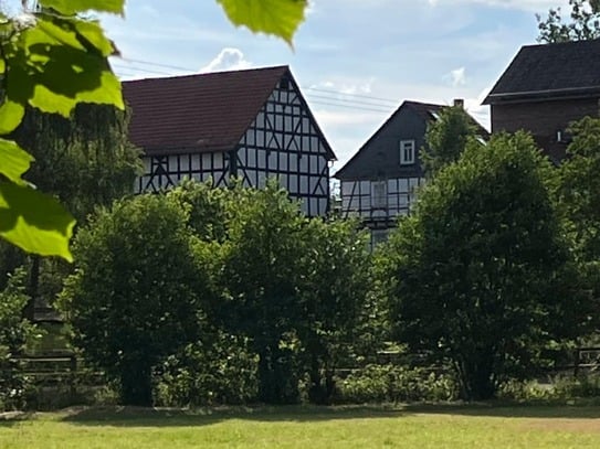 Traumhafte Wohnung in idyllischer Lage