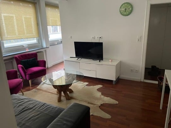 Beautiful one bedroom apartment with living room and wifi