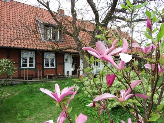 Small parlor - near Schaalsee