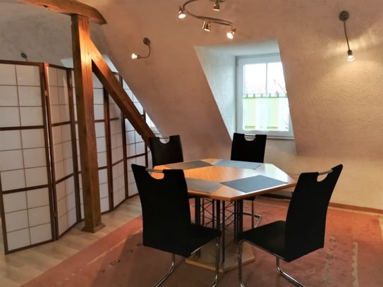 Cozy holiday apartment in the immediate vicinity of the new trade fair center in Karlsruhe/dm-Arena