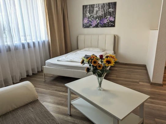 Großes möbliertes 1 Zimmer-Apartment in zentraler Citylage zwischen Messe und Hauptbahnhof