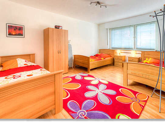 Spacious apartment near the trade fair