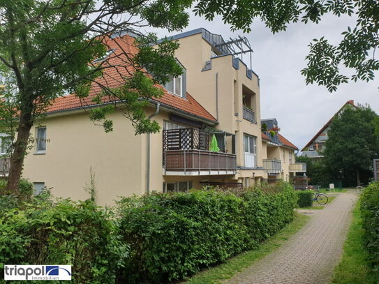 Großzügige 2-Zimmer-Wohnung mit Terrasse in ruhiger und grüner Stadtrandlage. - triapol Immobilien