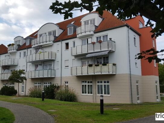 Hübsche 1-Zi-Wohnung mit Balkon in Coswig. - triapol Immobilien