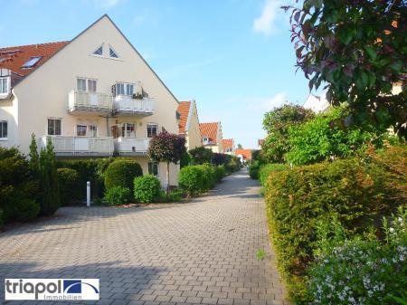 Gemütlicge 1-Zi-Wohnung mit Terrasse, kl. Garten und Einbauküche in ruhiger und grüner Lage. - triapol Immobilien