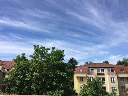 WG geeignet - 3 separate Zimmer - Sonniges Dachgeschoß - Appartement - im grünen Villenensemble