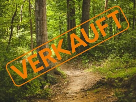 * * * VERKAUFT * * * Forstfläche(Nadelwald)
