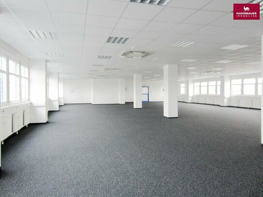 Büro 550 m2 südlich von Wien in Wr. Neudorf