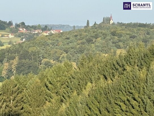 ++TRAUMHAFT SCHÖNE AUSSICHTSLAGE++IDYLLISCH gelegene KLEINLANDWIRTSCHAFT++ca, 2,6 Ha SCHEIBENGRUND, mit alten typischen…