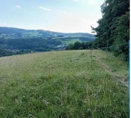 Traumhaftes Grundstück nahe Neulengbach/Altlengbach