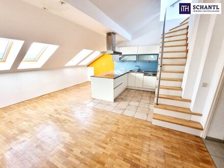 Make your dreams come true! Riesige Terrasse + Ideale 4-5 Zimmer im Dachgeschoss + Leichter Sanierungsbedarf + Wundersc…
